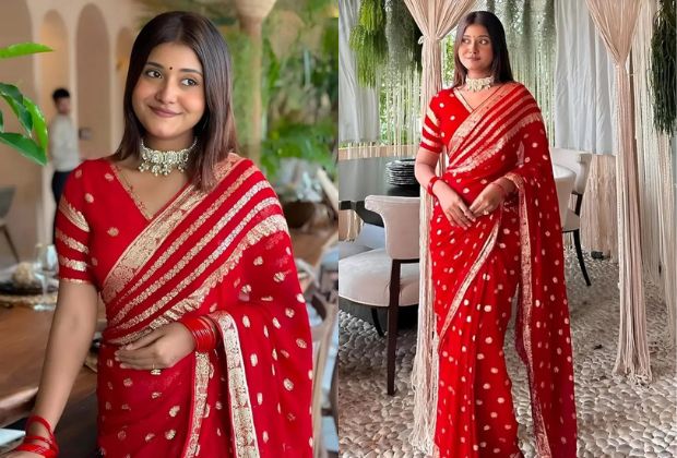 organza saree blouse designs