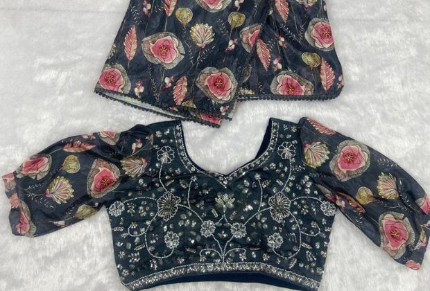 simple saree with gorgeous blouse