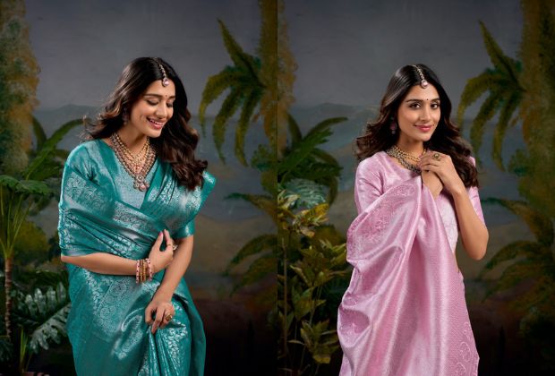 Modern Blouse Designs for Banarasi Sarees
