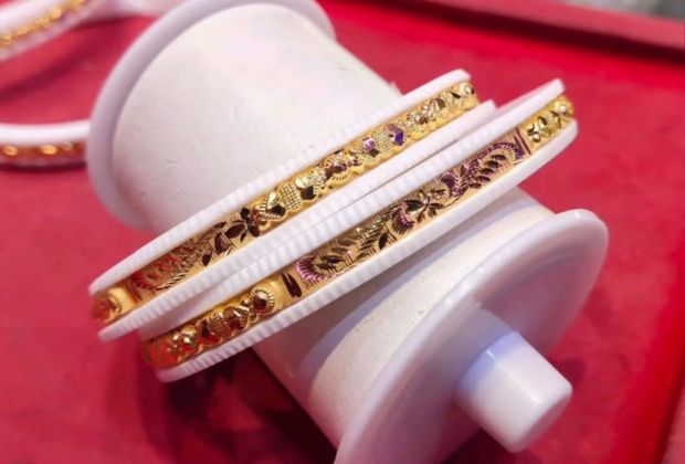 Latest Shakha Pola design in 2026 