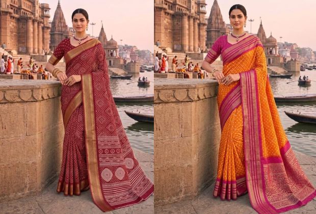 modern cotton saree blouse back neck designs