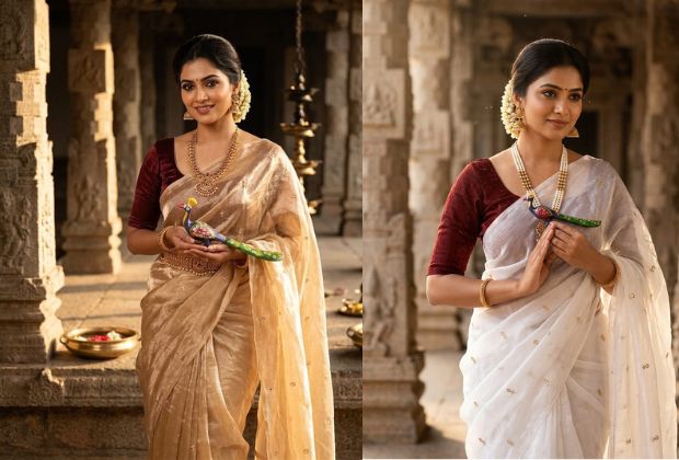 Plain Saree with designer blouse