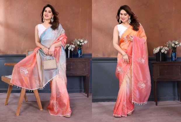 simple silk saree blouse designs back neck