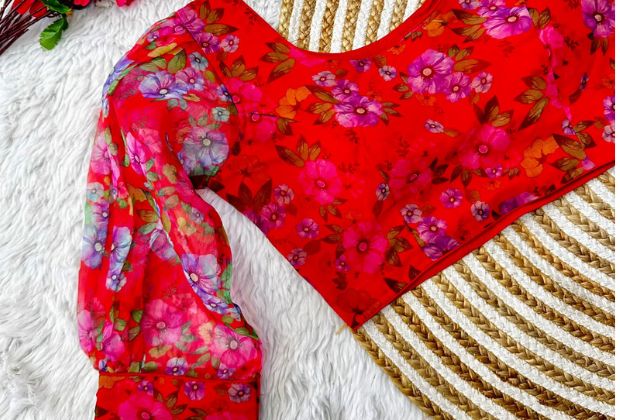 Latest blouse designs back