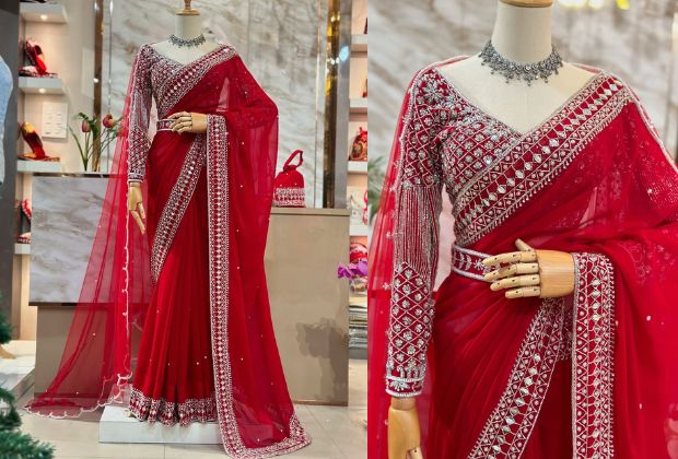 Saree blouse back designs