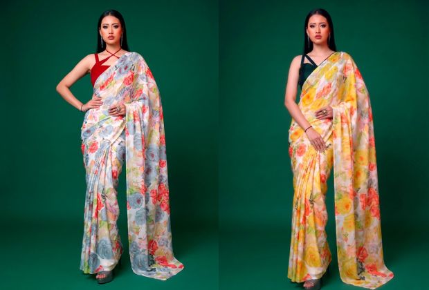 Modern saree blouse designs